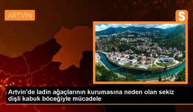 Artvin Şavşat’ta Karagöl-Sahara Milli Parkı’nda ladin ormanlarına zarar veren böceklere mücadele başlatıldı