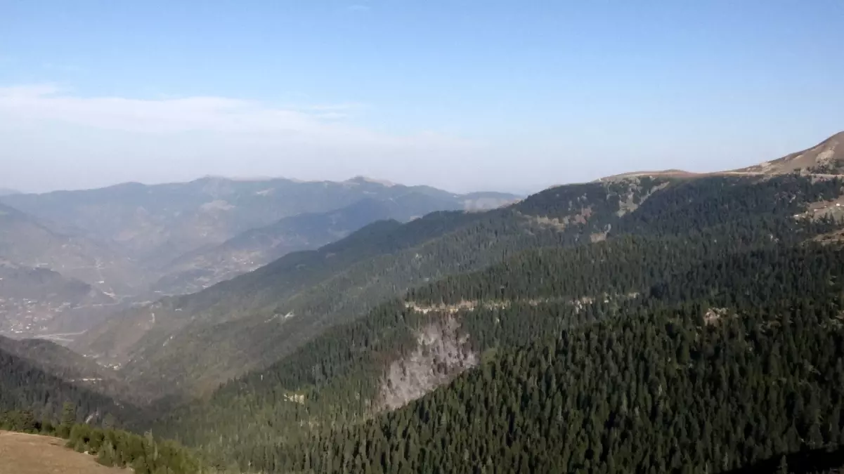 Doğu Karadeniz’de Yangın Riski Uyarısı